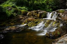 P1012537 edited (Large).jpg