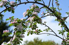 DSC_1480.JPG DSC_1480.JPG