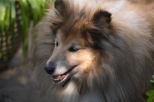 DSC_1471.JPG DSC_1471.JPG