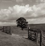 2022-7-25 Edmundbyers, 124G, FP4, EI200, HRDEV 1-35,022.jpg