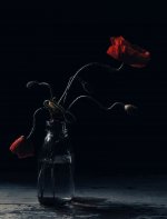 52225994639_44d3b69c40_b.jpg 52225994639_44d3b69c40_b.jpg