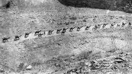 1718_074_JPEG5.jpg 1718_074_JPEG5.jpg