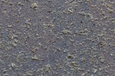 Dust-Up-Close.jpg
