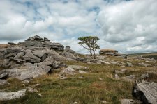 011 Kings Tor Lone Tree 02-8333 PS Adj.JPG