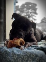 20200905_135716.jpg 20200905_135716.jpg