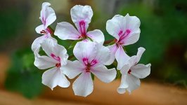 2021-09-10 15-59-00 (B,Radius12,Smoothing4)_Nik.jpg