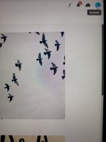 20220804_101149.jpg 20220804_101149.jpg