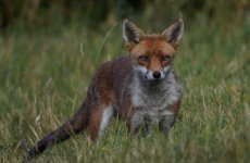 DSC03353-edit windows.jpg