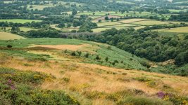 009 Lake Viaduct 02-8397 PS Adj.JPG