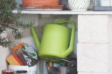 WaingCanP7246093-1k5.jpg WaingCanP7246093-1k5.jpg