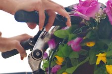 BikeHandlesP7266645b-1k5.jpg BikeHandlesP7266645b-1k5.jpg