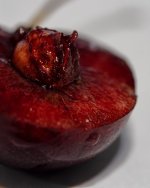 food - smaller-2.jpg