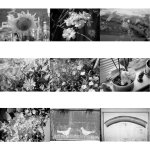 T80_contact.jpg T80_contact.jpg