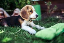 IMG-20220812-WA0006.jpg IMG-20220812-WA0006.jpg