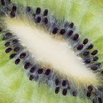 WEEK 32 - INTERNAL.jpg