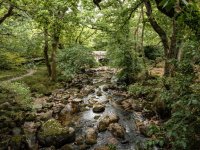 017 Shaugh Bridge 02-8541 PS Adj.JPG