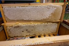 Week 32 internal 7 (1 of 1).jpg