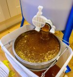 Extraction reduced (1 of 1).jpg