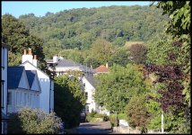 Houses and trees on the valley side Sidmouth FZ82 P1000763.JPG