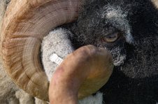 _78O2589.jpg _78O2589.jpg