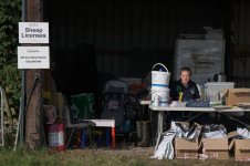 chipping-2.jpg chipping-2.jpg