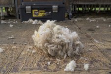 chipping-55.jpg chipping-55.jpg