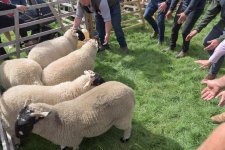 _7510926.jpg _7510926.jpg