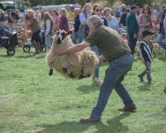 _78O3880.jpg _78O3880.jpg