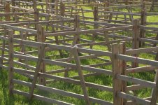 _78O2848.jpg _78O2848.jpg