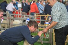 _78O3348.jpg _78O3348.jpg