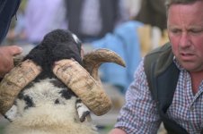 _78O3727.jpg _78O3727.jpg