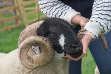 _78O3794.jpg _78O3794.jpg