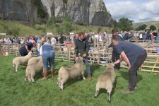 _7510932.jpg _7510932.jpg