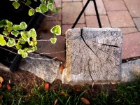 P8300001-1k.jpg P8300001-1k.jpg