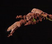 2022-08-26 1064-Content Aware Fill.JPG