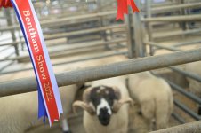 _78O4186.jpg _78O4186.jpg