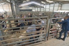 _7510964.jpg _7510964.jpg