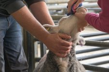 _78O3994.jpg _78O3994.jpg