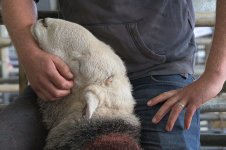 _78O3999.jpg _78O3999.jpg