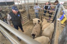 _7510975.jpg _7510975.jpg