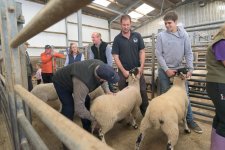 _7511006.jpg _7511006.jpg