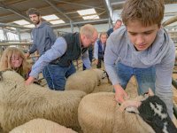 _7510984.jpg _7510984.jpg