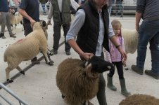 _78O4133.jpg _78O4133.jpg