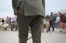 _78O4149.jpg _78O4149.jpg