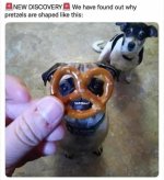 161B13D0-38C3-4F41-AE70-B3670308B00A.jpeg 161B13D0-38C3-4F41-AE70-B3670308B00A.jpeg