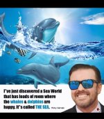 IMG-20220905-WA0013.jpg IMG-20220905-WA0013.jpg