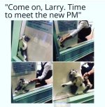 IMG-20220905-WA0003.jpg IMG-20220905-WA0003.jpg