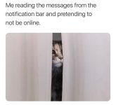 IMG-20220905-WA0004.jpg IMG-20220905-WA0004.jpg