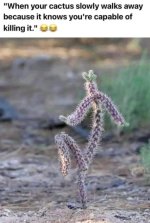 FB_IMG_16624092952546462.jpg FB_IMG_16624092952546462.jpg