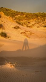 Week 35  Shadows.JPG